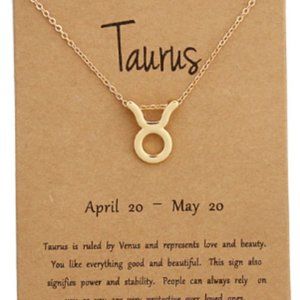 Taurus Zodiac Sign Horoscope Pendant
